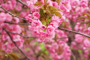 金华义乌线下个人借款平台一站式服务，轻松解决资金难题