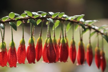 金华义乌零用贷短借：轻松解决临时资金需求