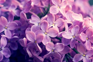 金华义乌企业急用钱贷款攻略：快速融资解燃眉之急